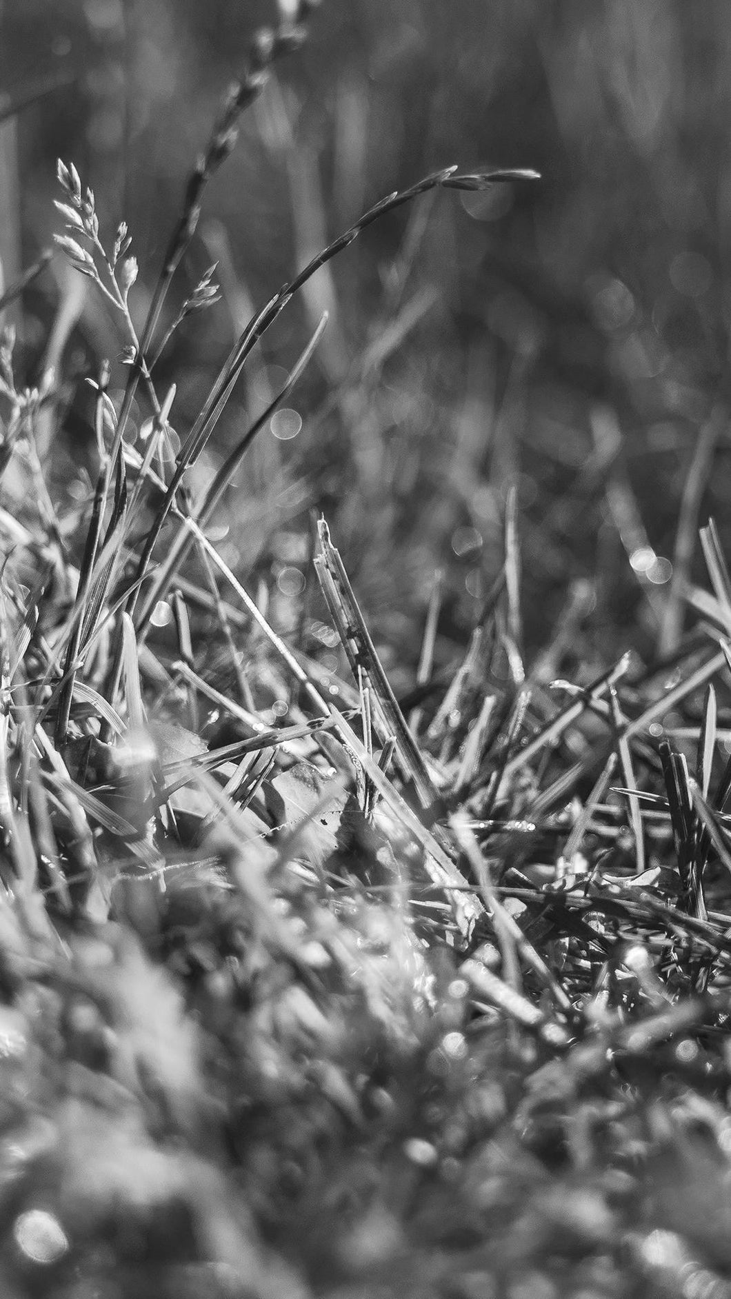 ce9f987131abbeb958d1e47b0faf7027f0b2ea7d