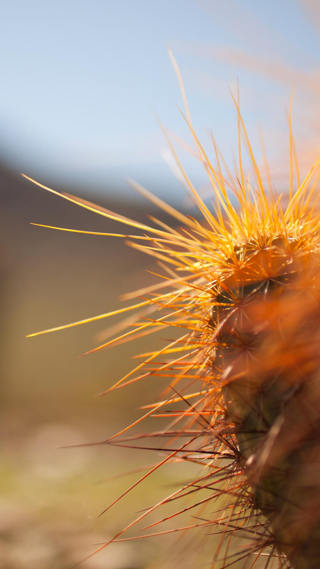 3a2d7087b26580dc61cd3cf995eccbdf7909adae