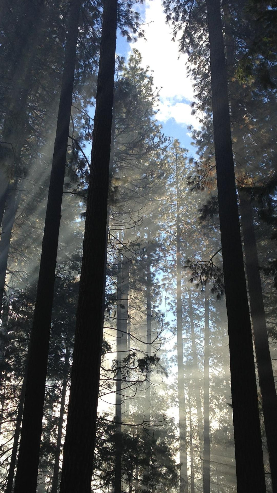 66b7d60b98774df148e6d14706cb2b06539a4776