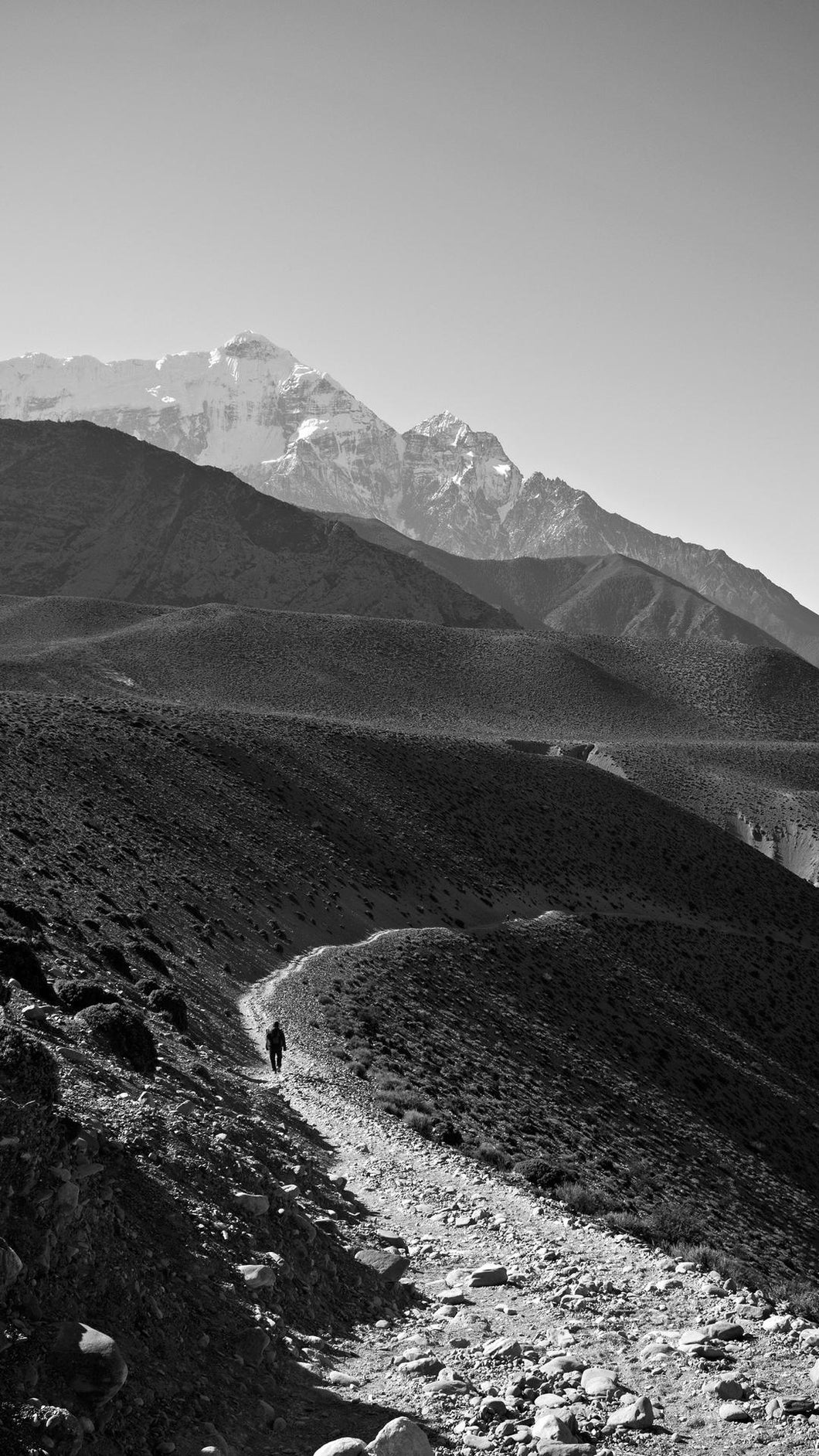 a790bfb813fed55a6138b7a14ff83f537e55f974