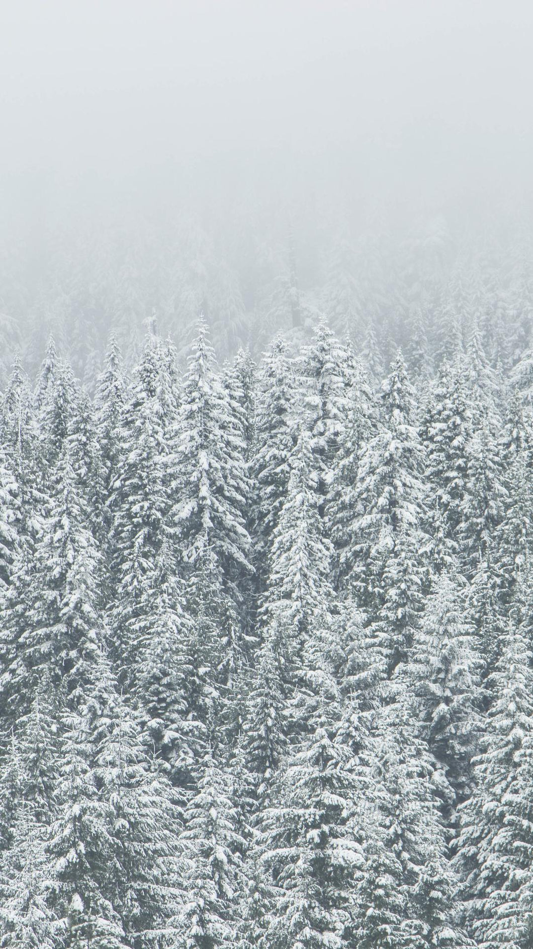 8e76cadd4276202345174e9d4c890c94fdf24cf1