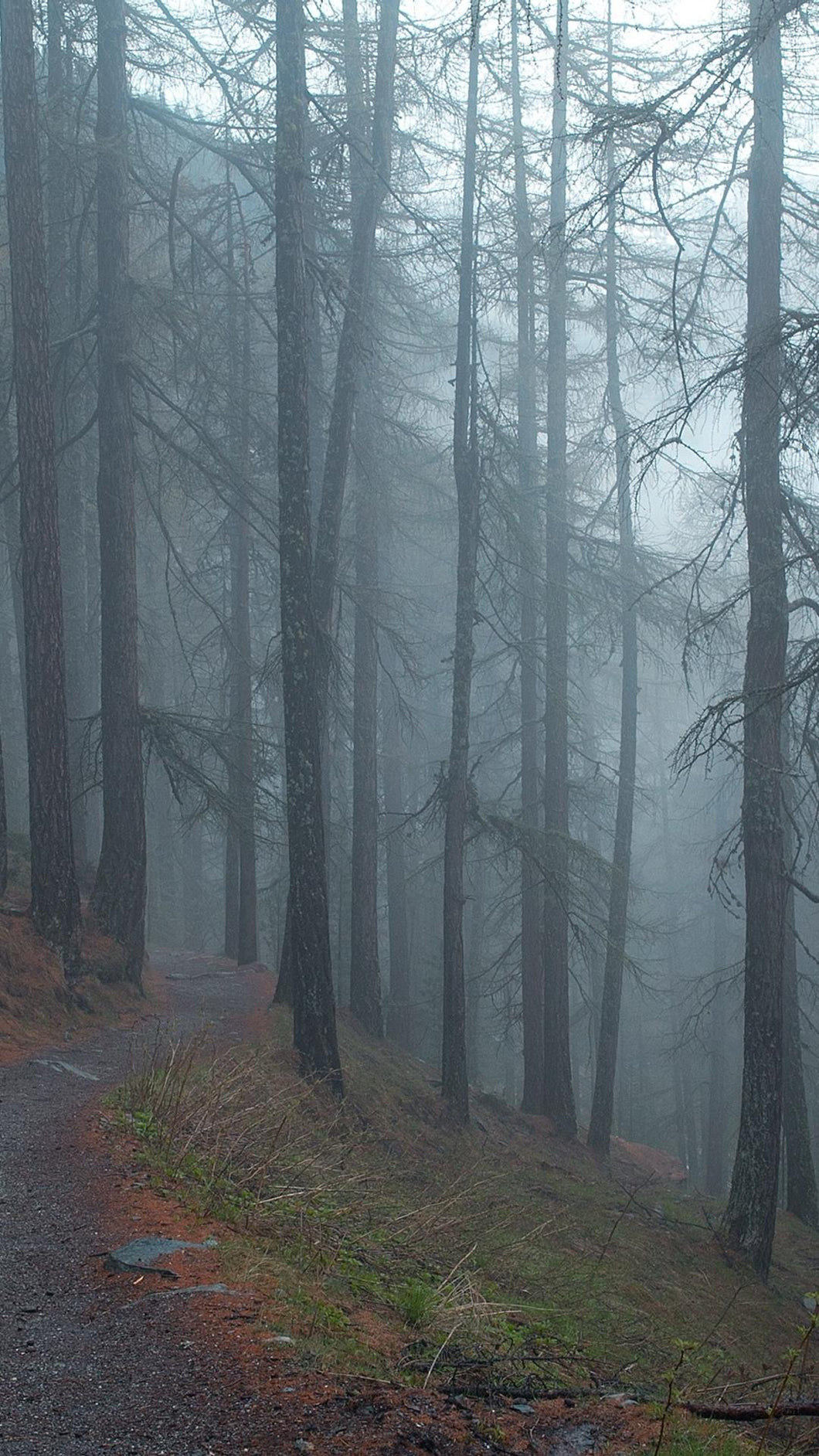 b932d76ff6bf9f69a3c76df6680a3b5f715284ec