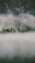 Load image into Gallery viewer, 20a48c3bf5291e0cc6e1fde1aa141b5ea22f1080

