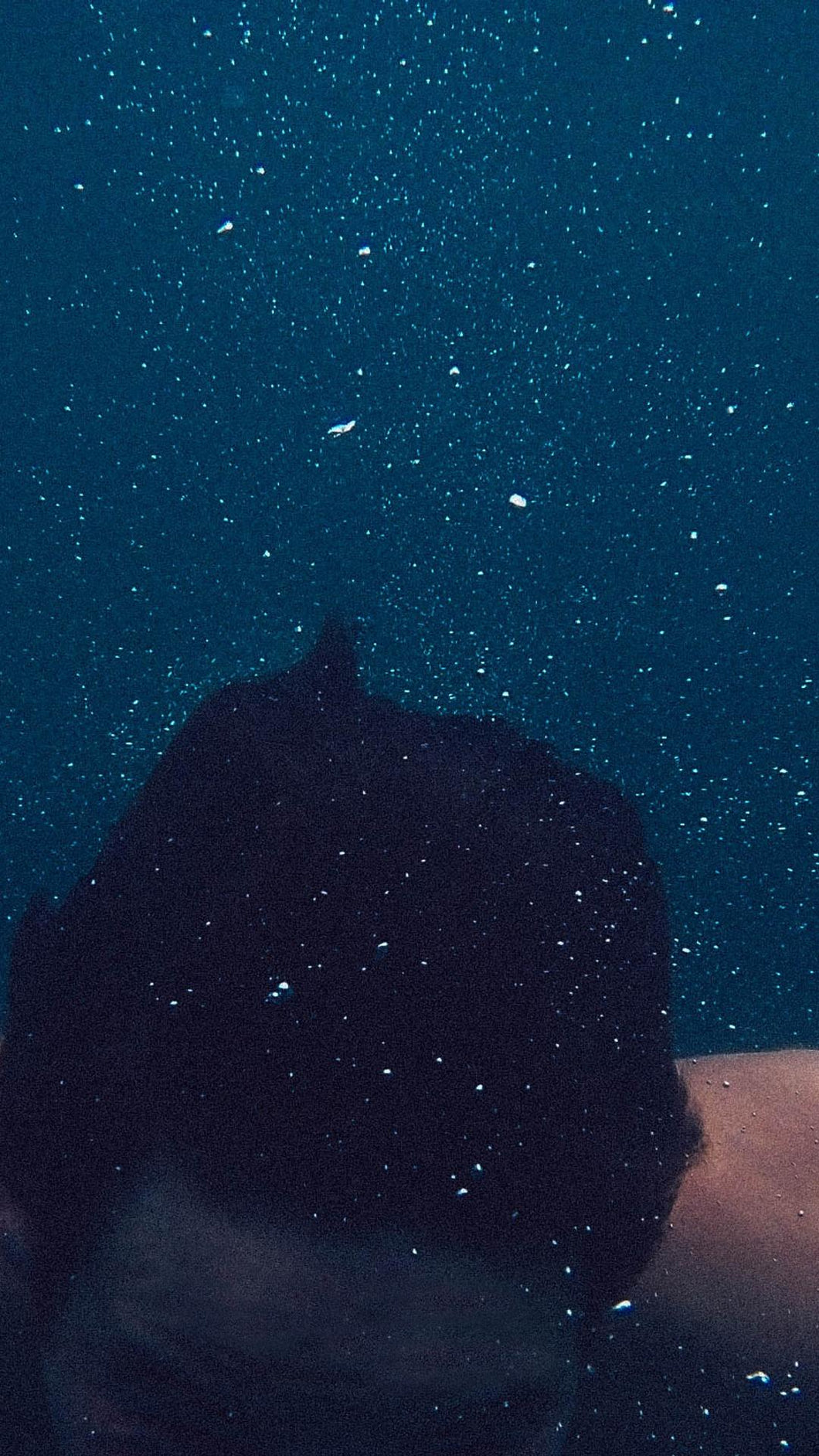 a1c70a545617cd3596285b1e970b3739eb274087