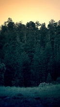Load image into Gallery viewer, cf18b847348aaabd916f5a193e3915dcd0a642b1
