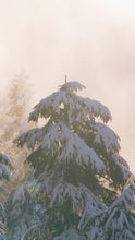 Load image into Gallery viewer, f5f20978050e0d19ee6f2afa8fb5f4809e4aceff
