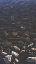 Load image into Gallery viewer, 2013fd461f46b1d698e123e7a850f3706f684096
