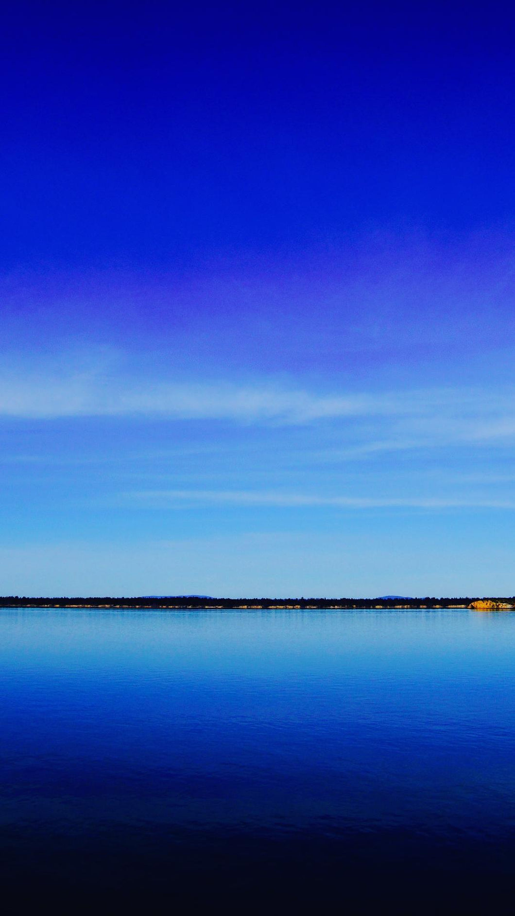 5f5454e259316e4e8bb8a949e92eb3f5844b87f1