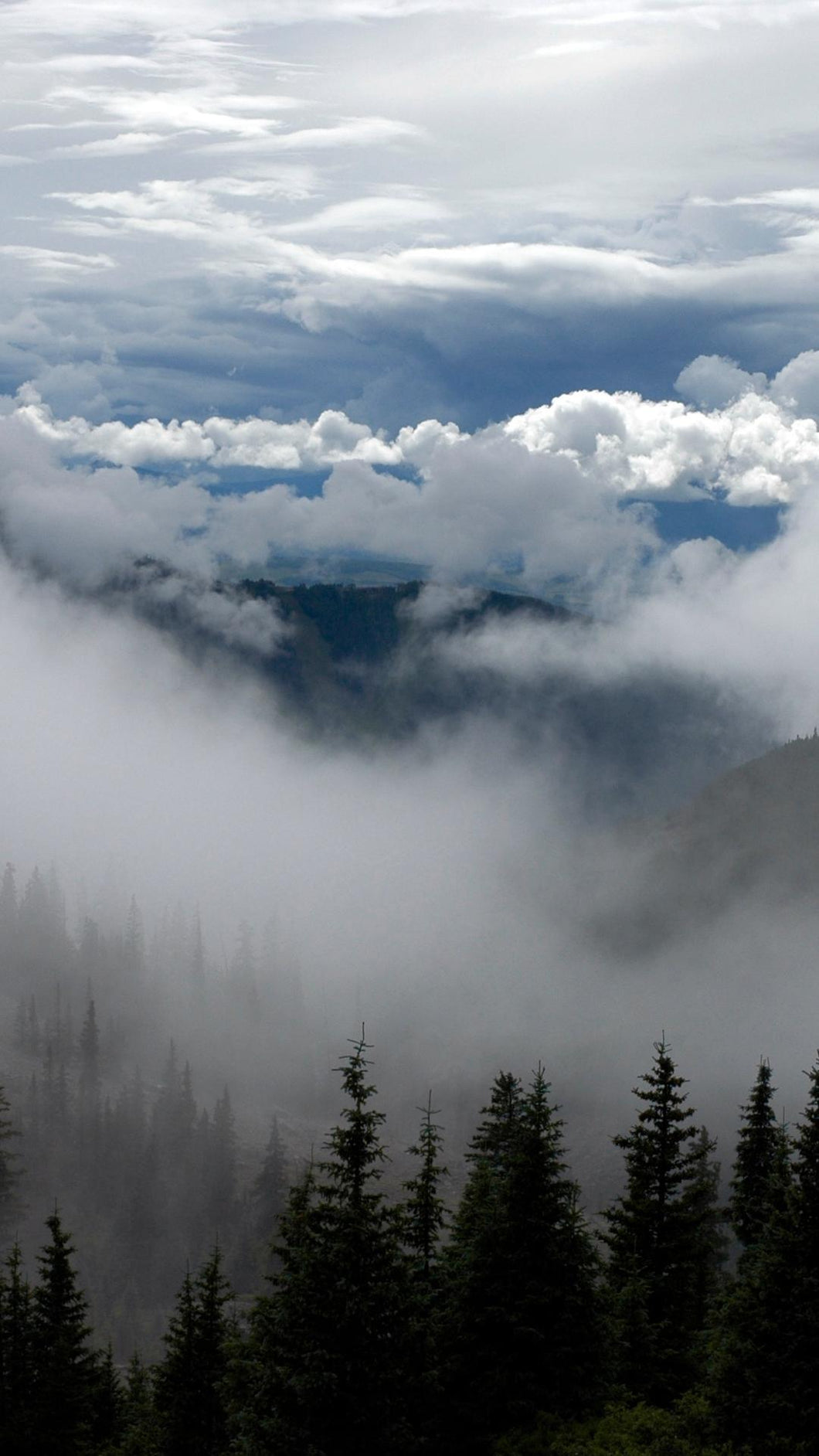 f0da077f50d7e066af95b4da28aa85eea2899677