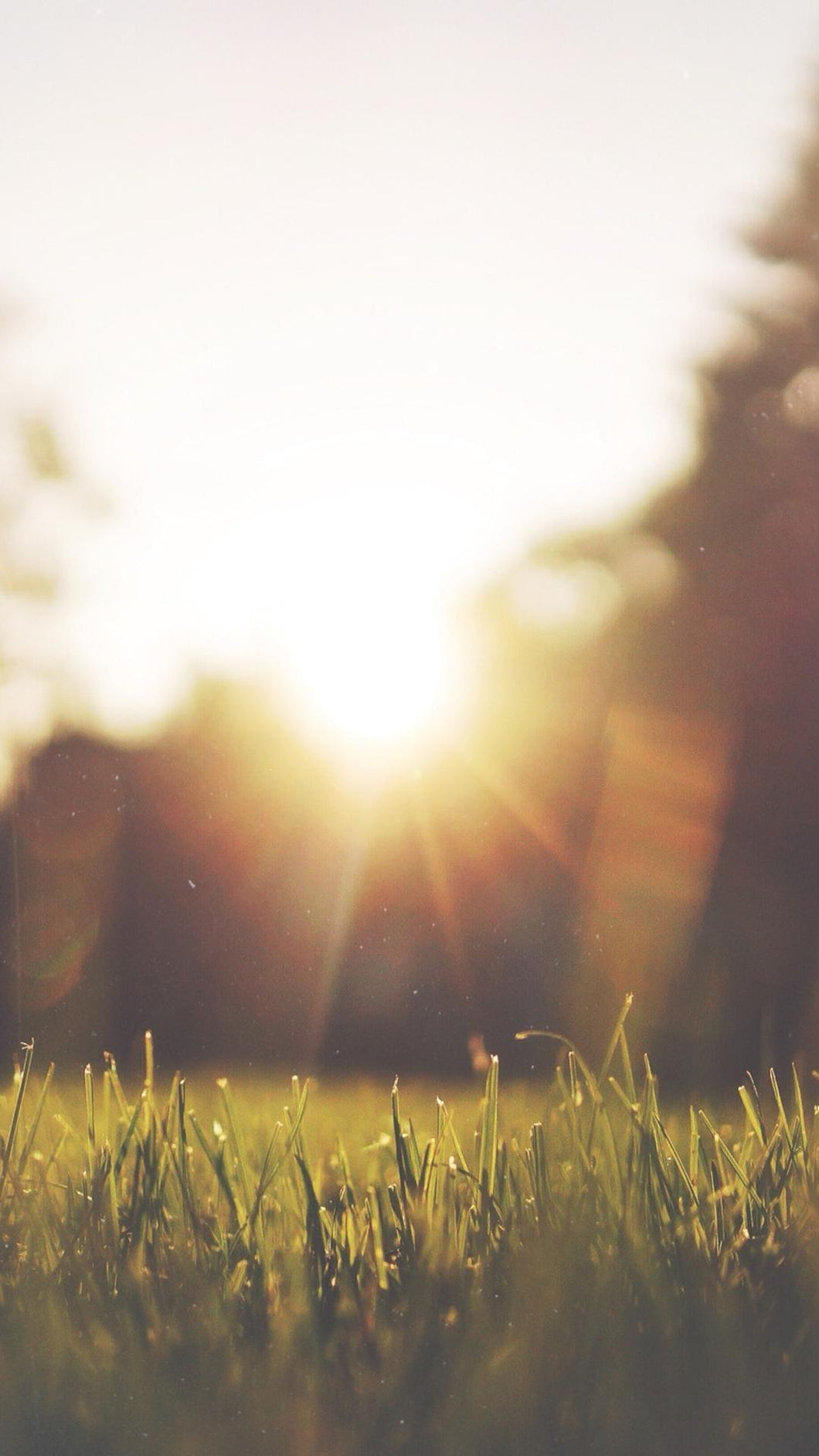 186dc664a6884b063648b6a616c1fc406a27b164