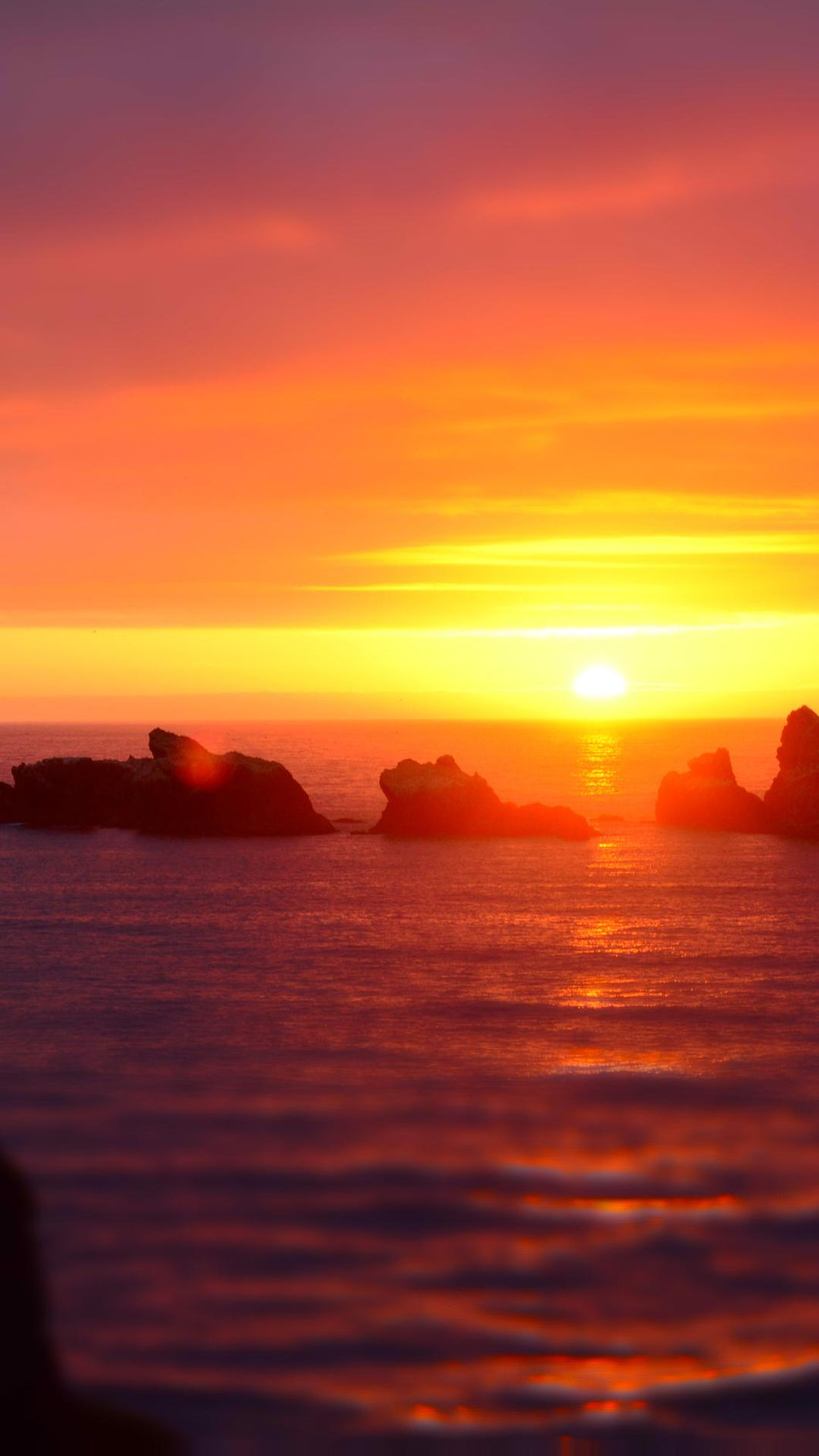 9e793f9f025a14c06ecc20f0d28b5b98a78cbac2