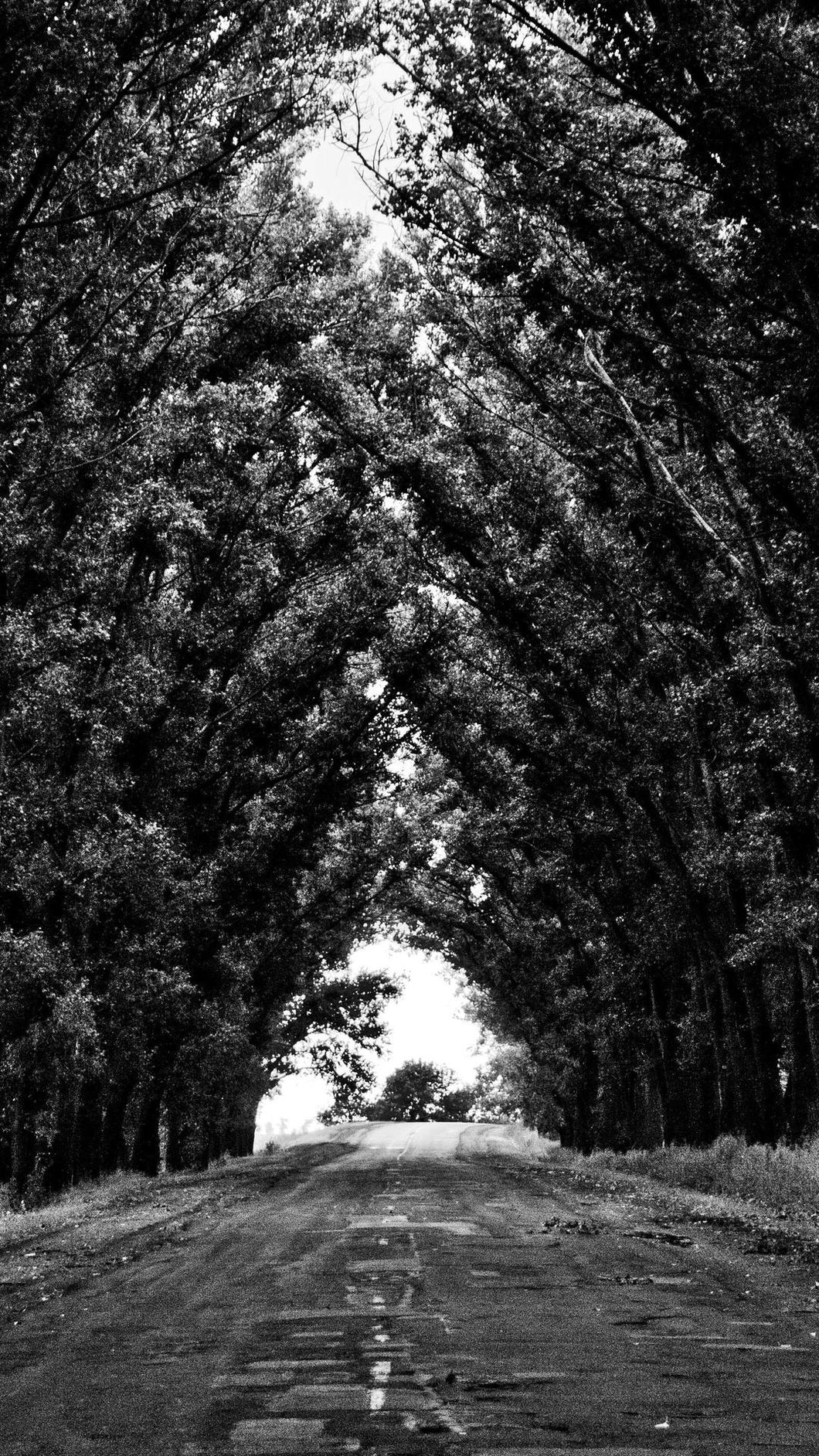 c1788d14eabd4766a020a96853d4995f47fda1e9