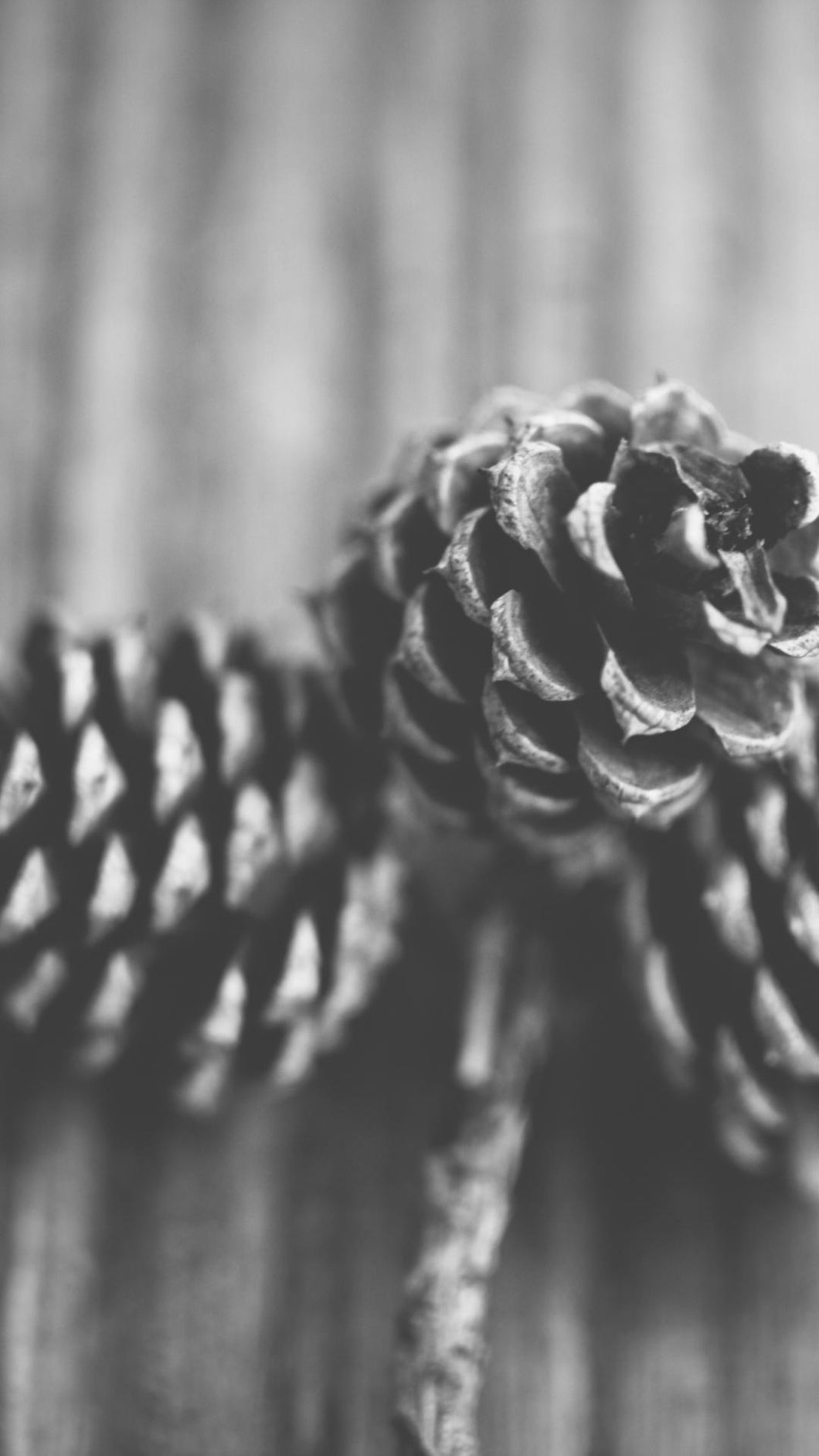 5fda14ff7ef67604121c657d15d27f40ff98b2d4