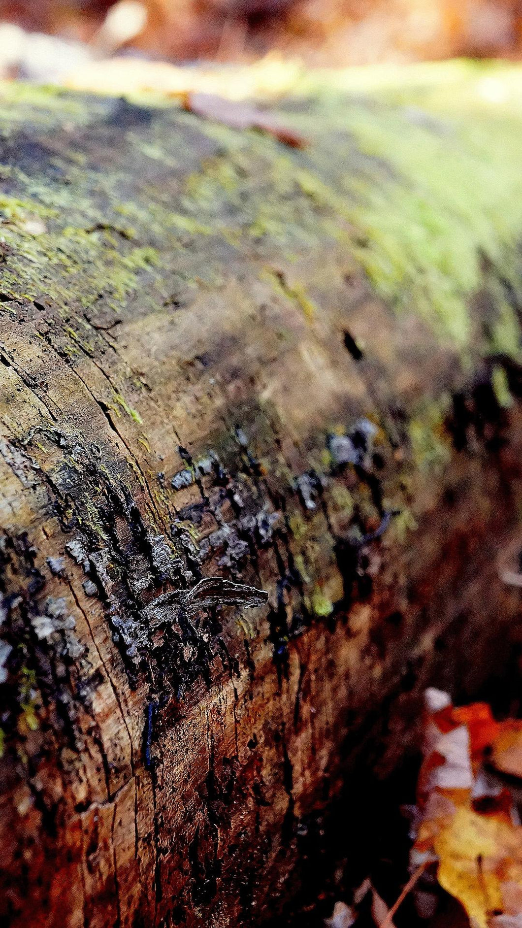 3b8071383ddf5d81683ef3999b1fbf1c826d7342