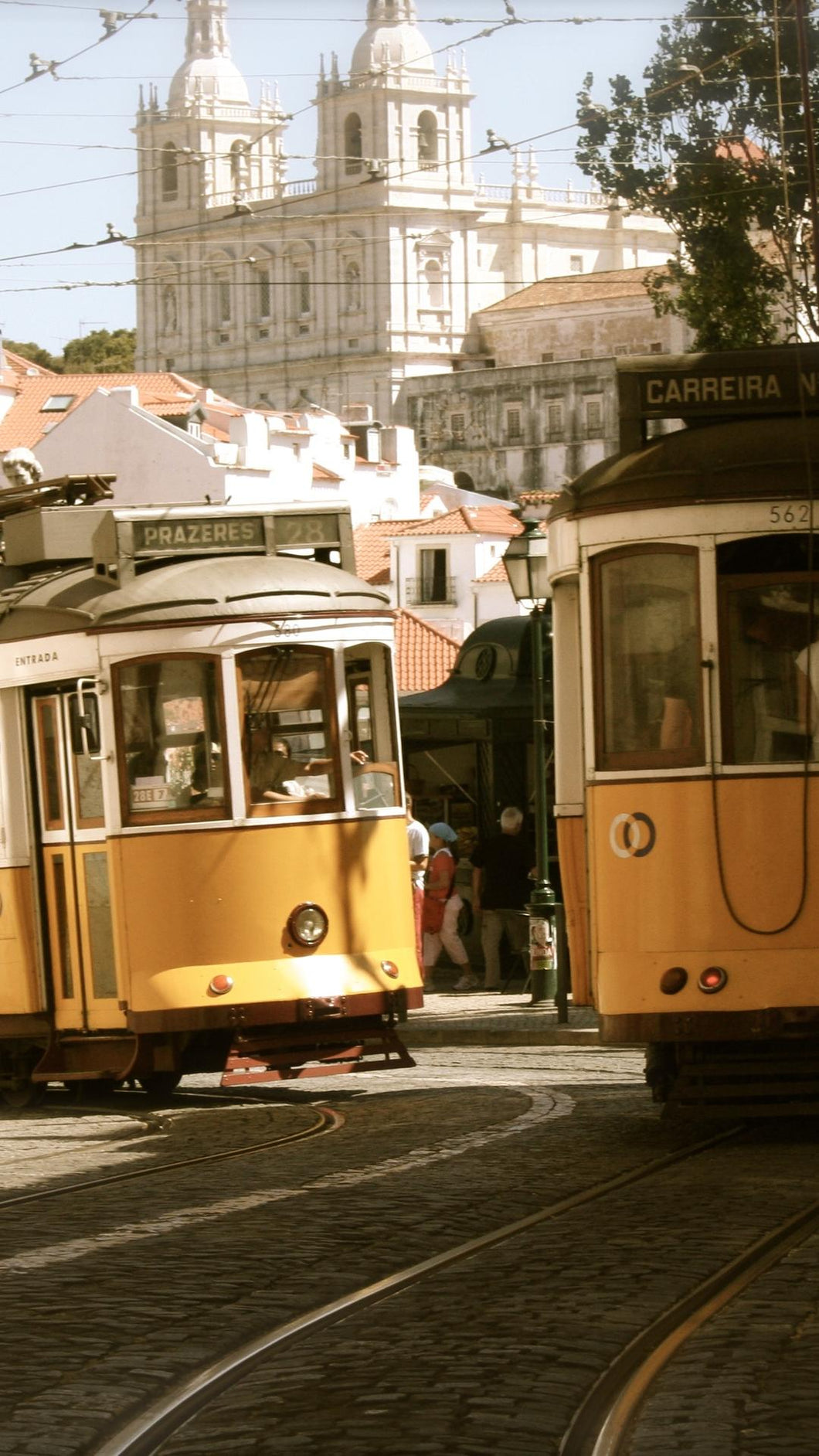 8c0e39478399bcf34afa3cf8d007e8034f81cbbc