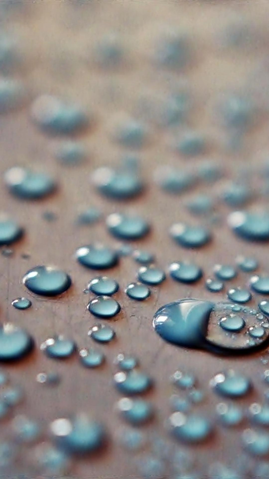 a9bceba307e67604659a0abeed6dd23d7d18996f