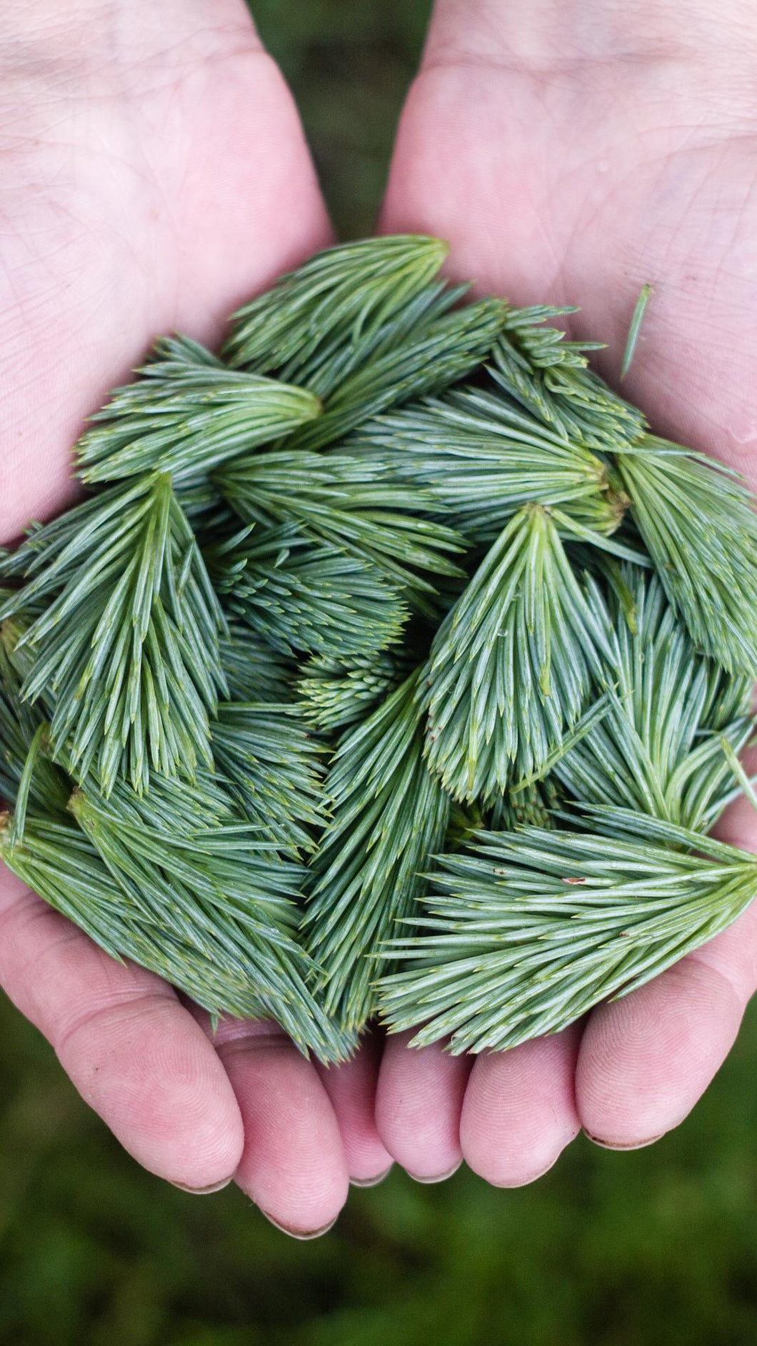 1b61d1a4ff0032373ea5c52d13dd1b21998bf398