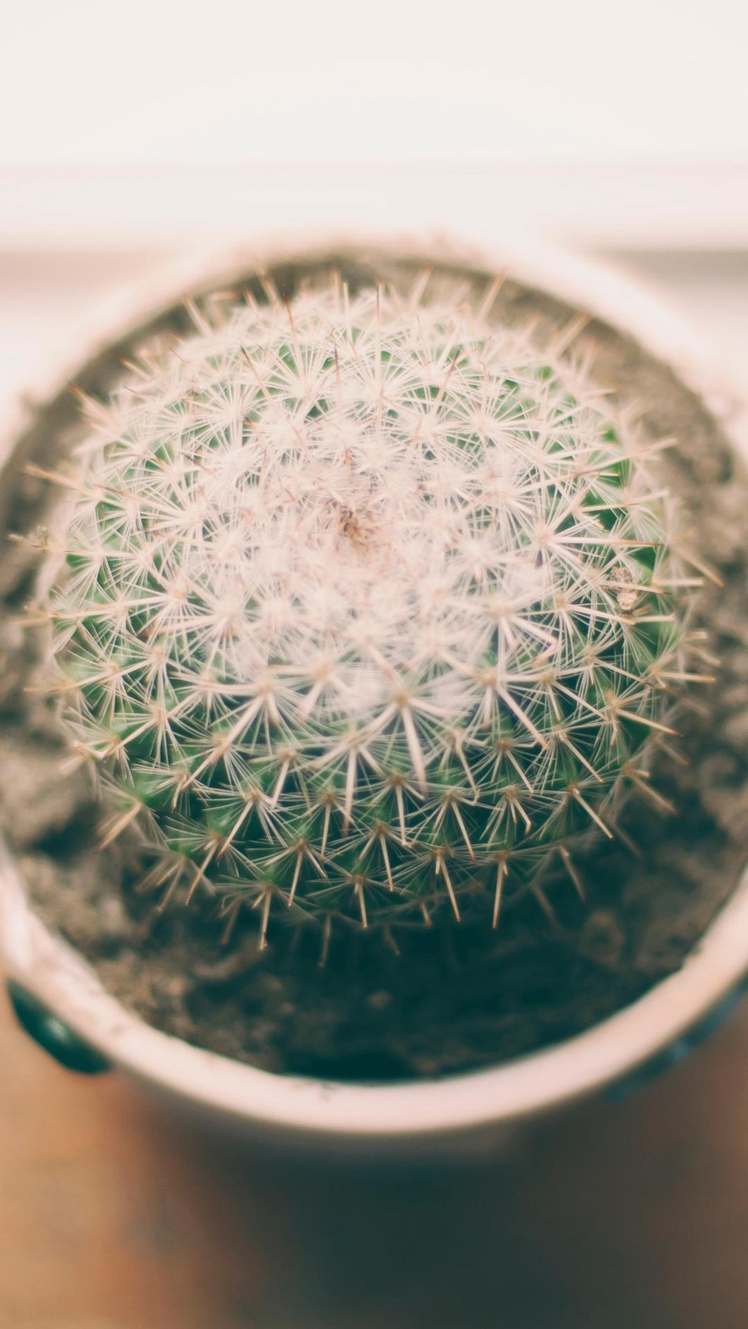 34bb007cabbb282d24fe8a50849e6173dba0a6ae