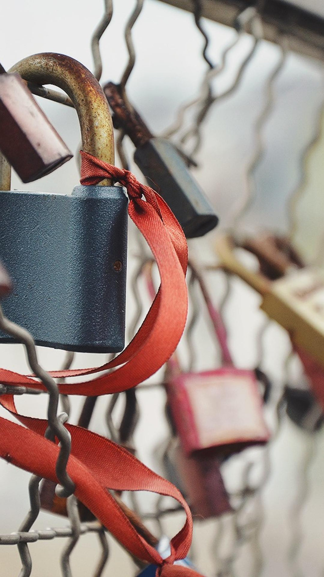 79981c2e0c38a89f7d36c675c088e6f1ca669f5e