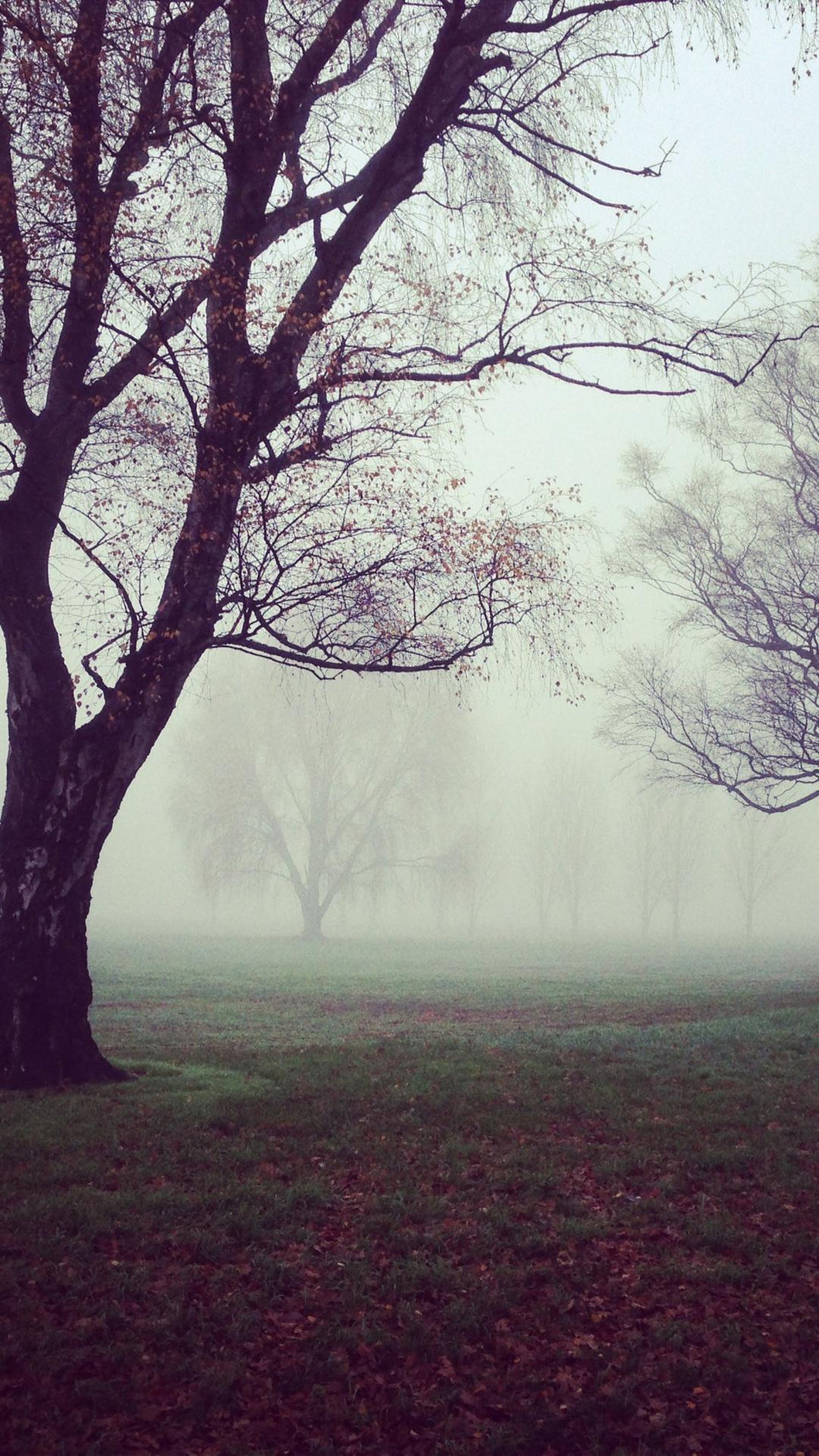 289c8ab1ffe8413374d464d28898f412d24007c7