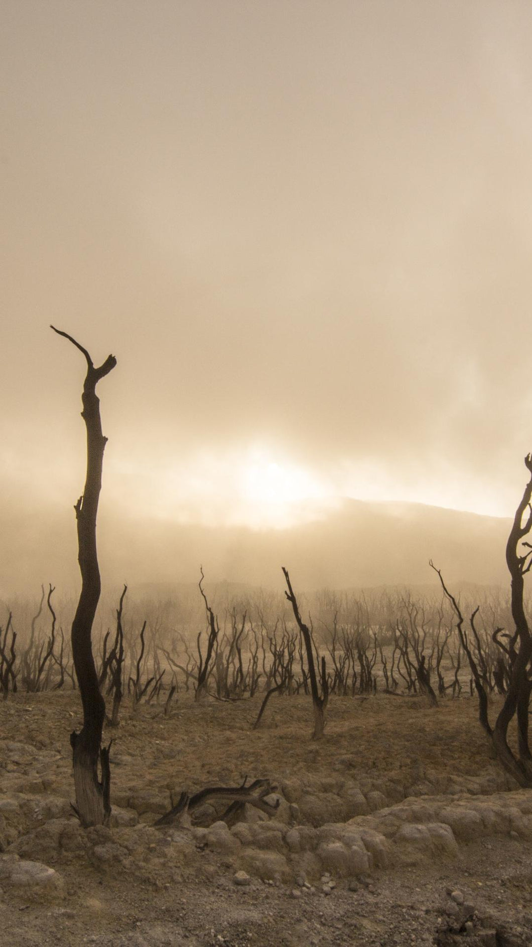 252b7c18312dc3db648388e3fa4b3c4a96cf7953