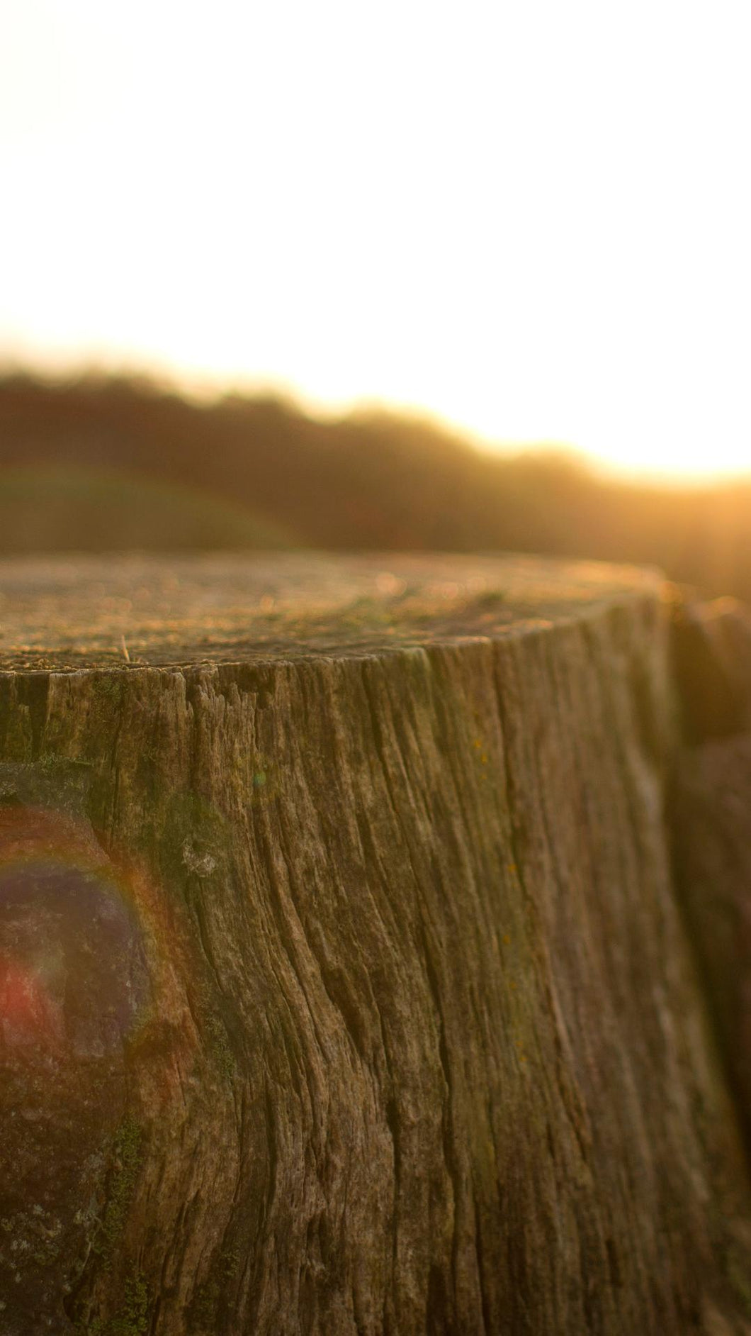 2d8c752fd7d6c4fca58e871f0f696163d4c4d0d0