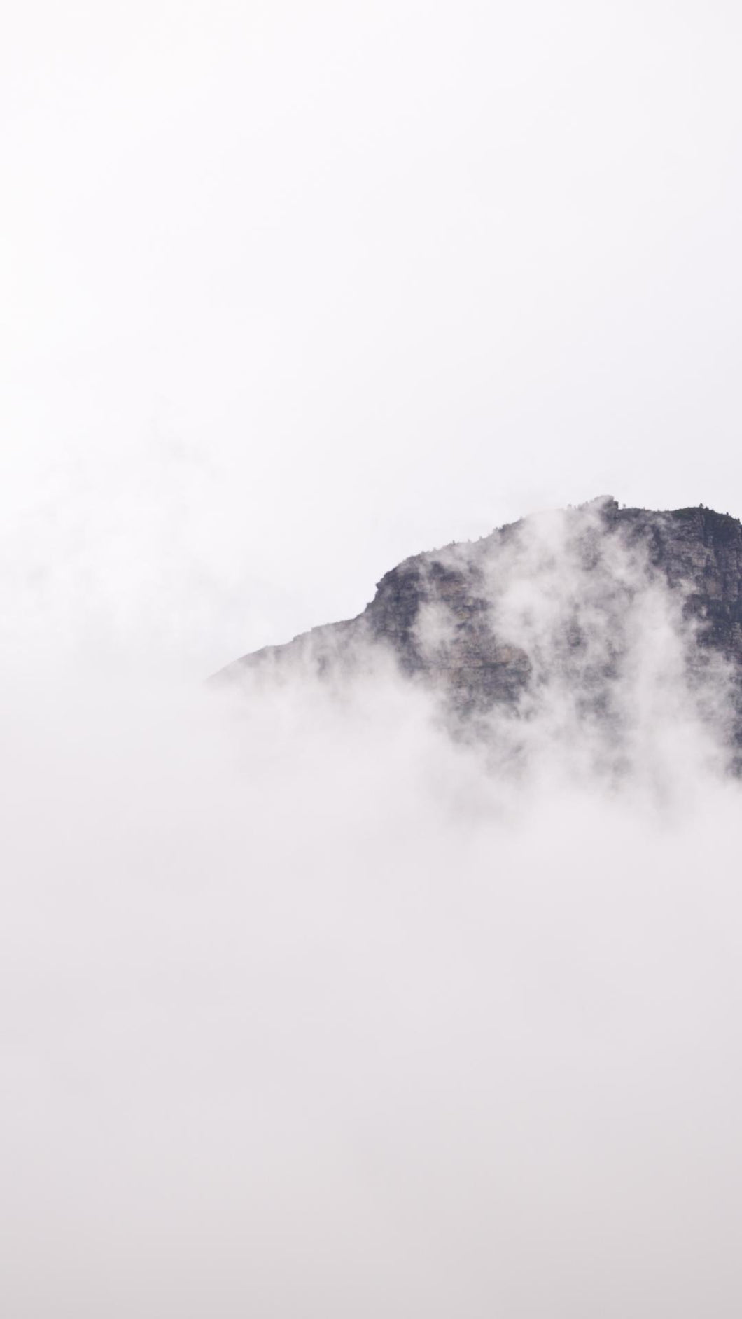 d08afc8739bc9cf75f2b41890f25c13e8d379230