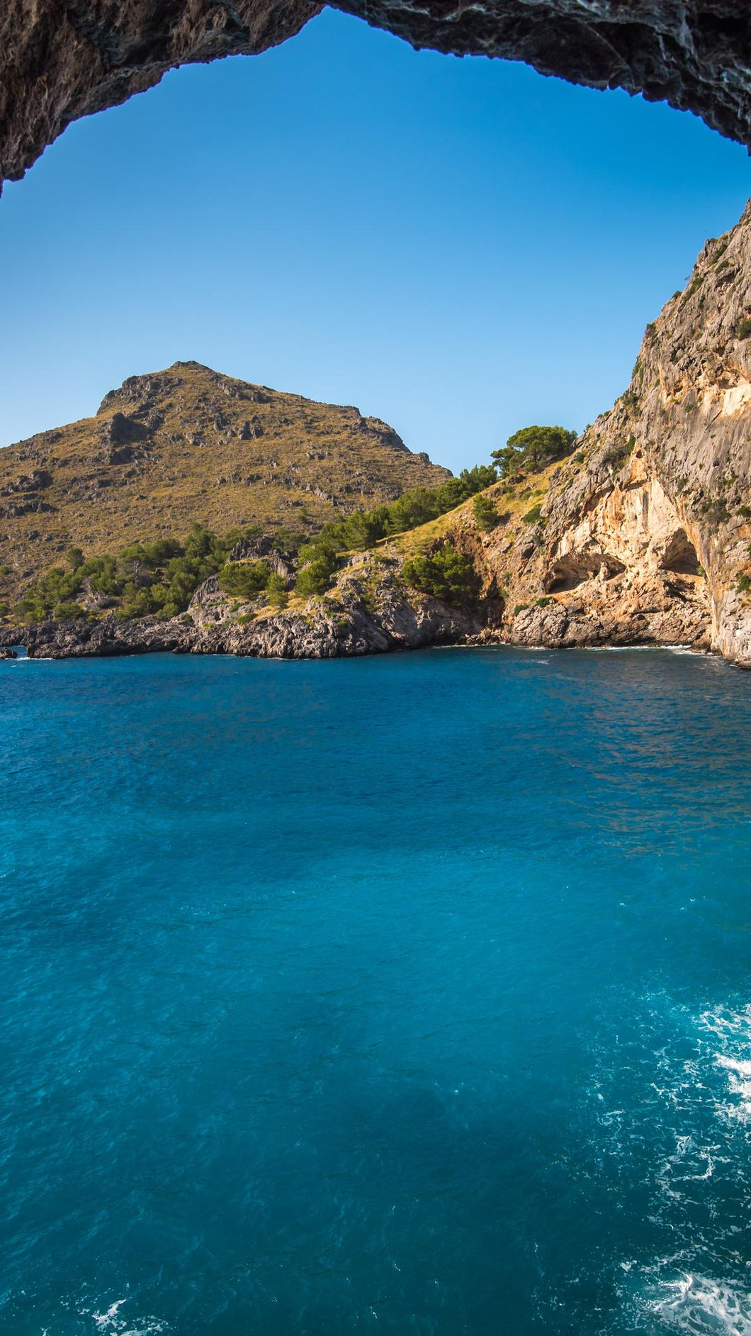 86a96485e1ebe28a5ba78b7221c1595c6f6d0271