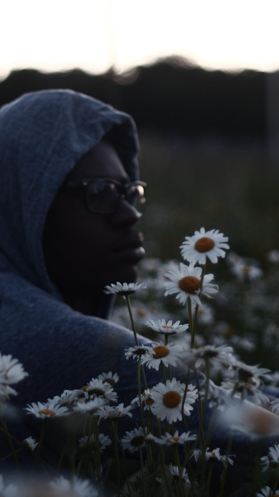 1a3de335bbf0fb959e02515907b6f571a4e667c5