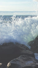 Load image into Gallery viewer, eec76ee324338b526e813dfd4c835a6ef9c92e9d
