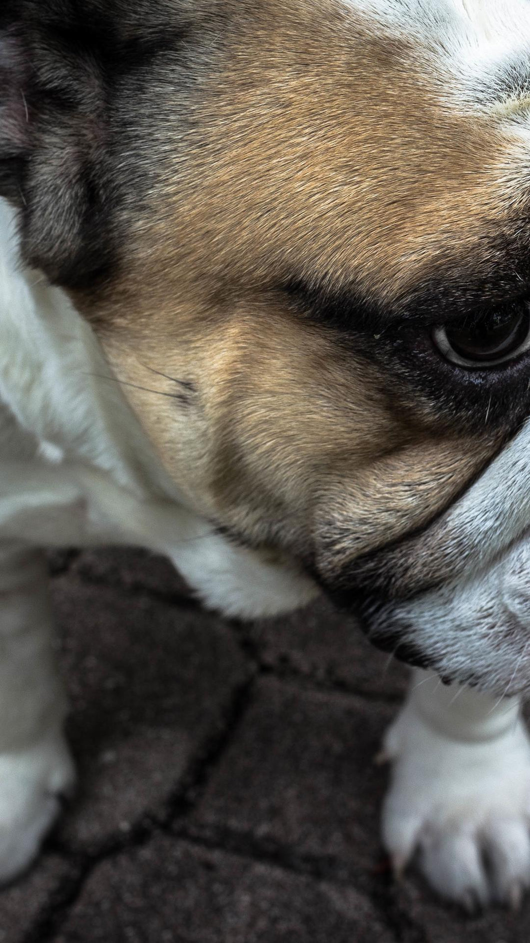 9f44e71ea6035935c3259d9e2f48eb8247fd9f89