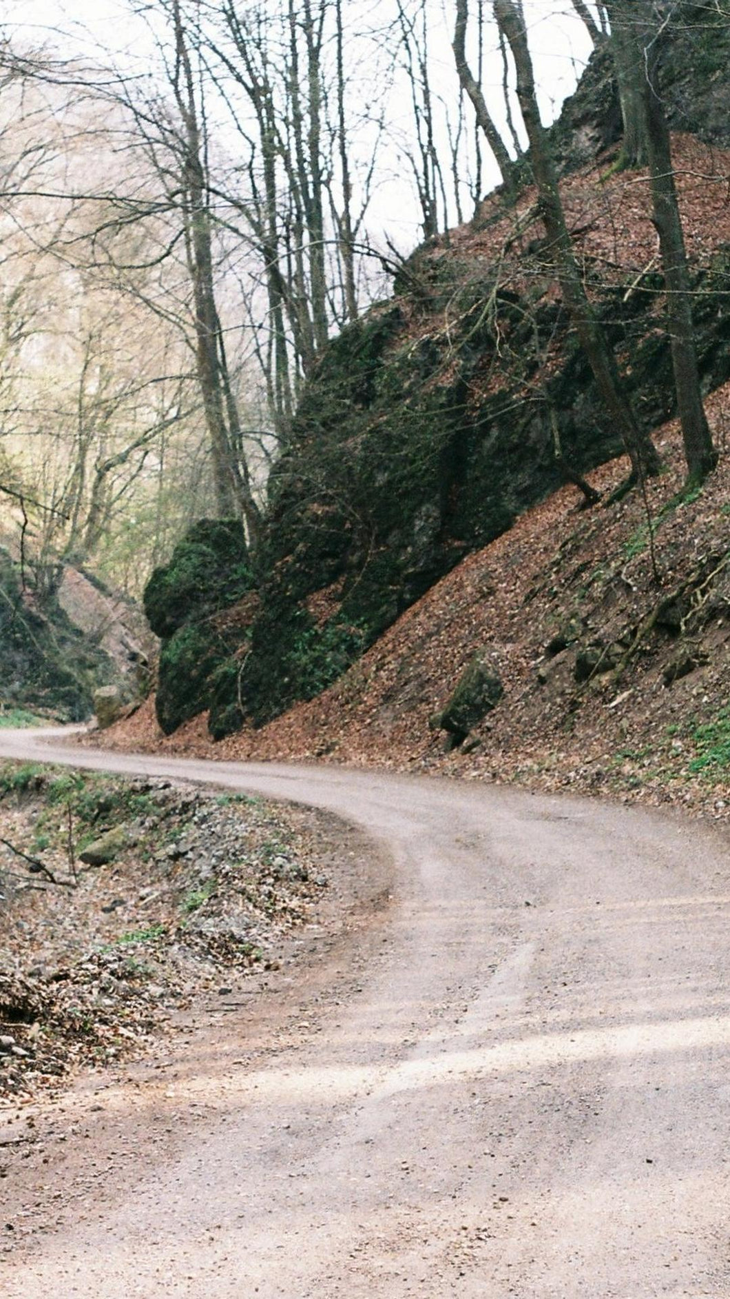 4f48e14c55ae47bfa1fd87dd96164f29602d90c1