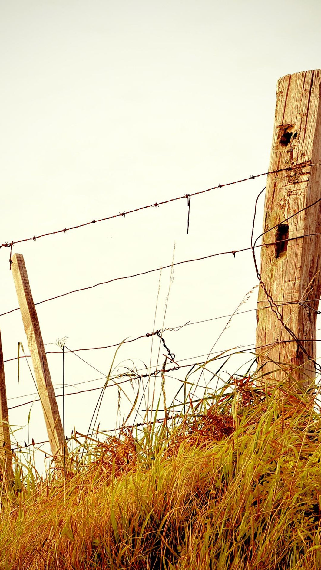 965d59589c720c0c242f469657ae3ce031cb91e3