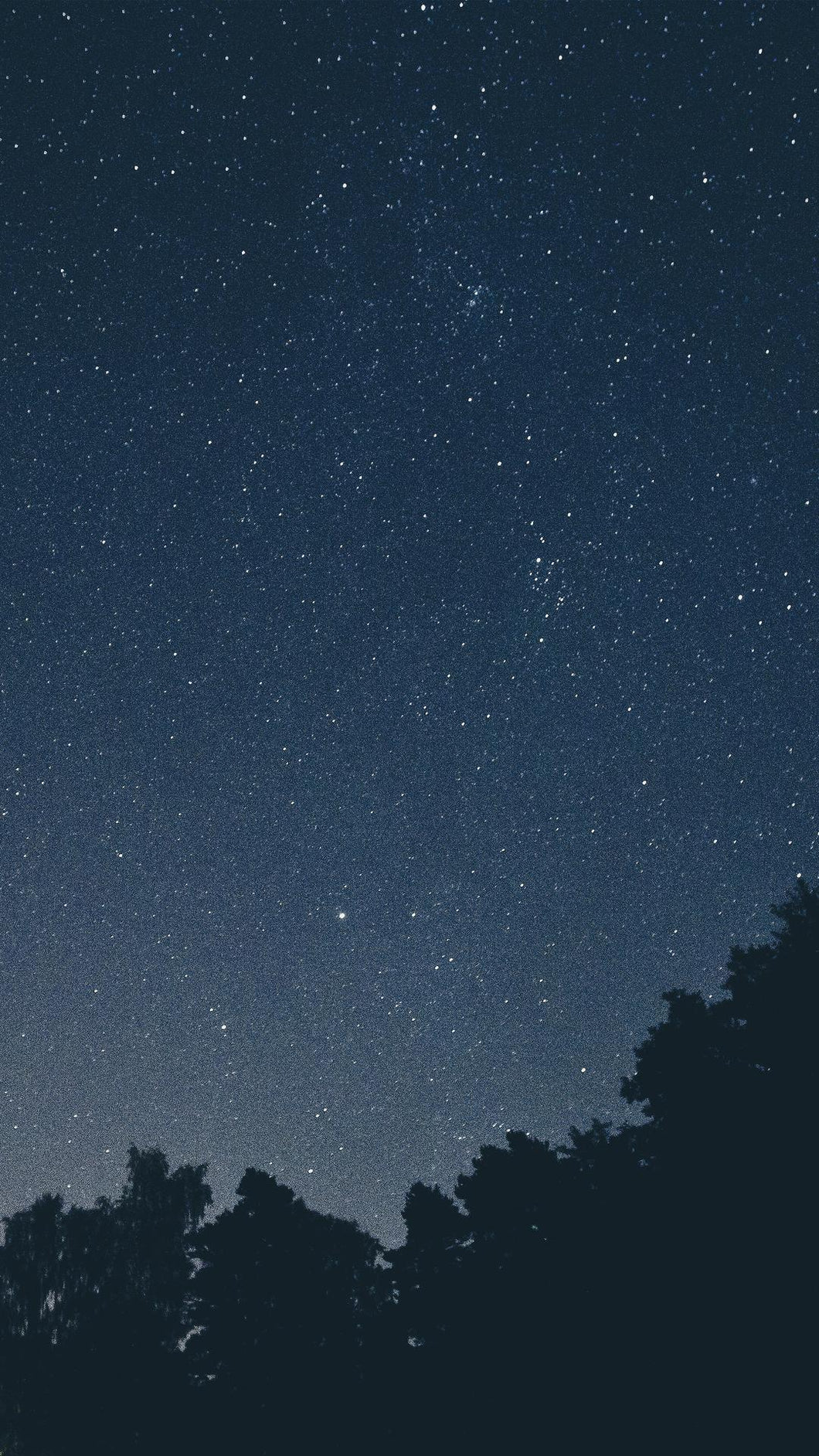 14f9d4e7858192bd9be93d5f1ac86c7acc4da35e