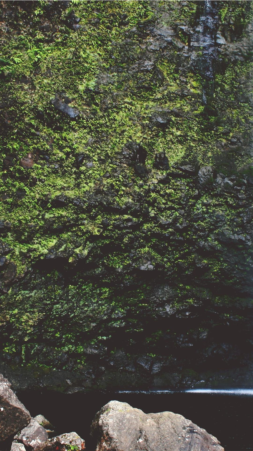 1b2a365e1cf3682438604d2b3d2840d207743510