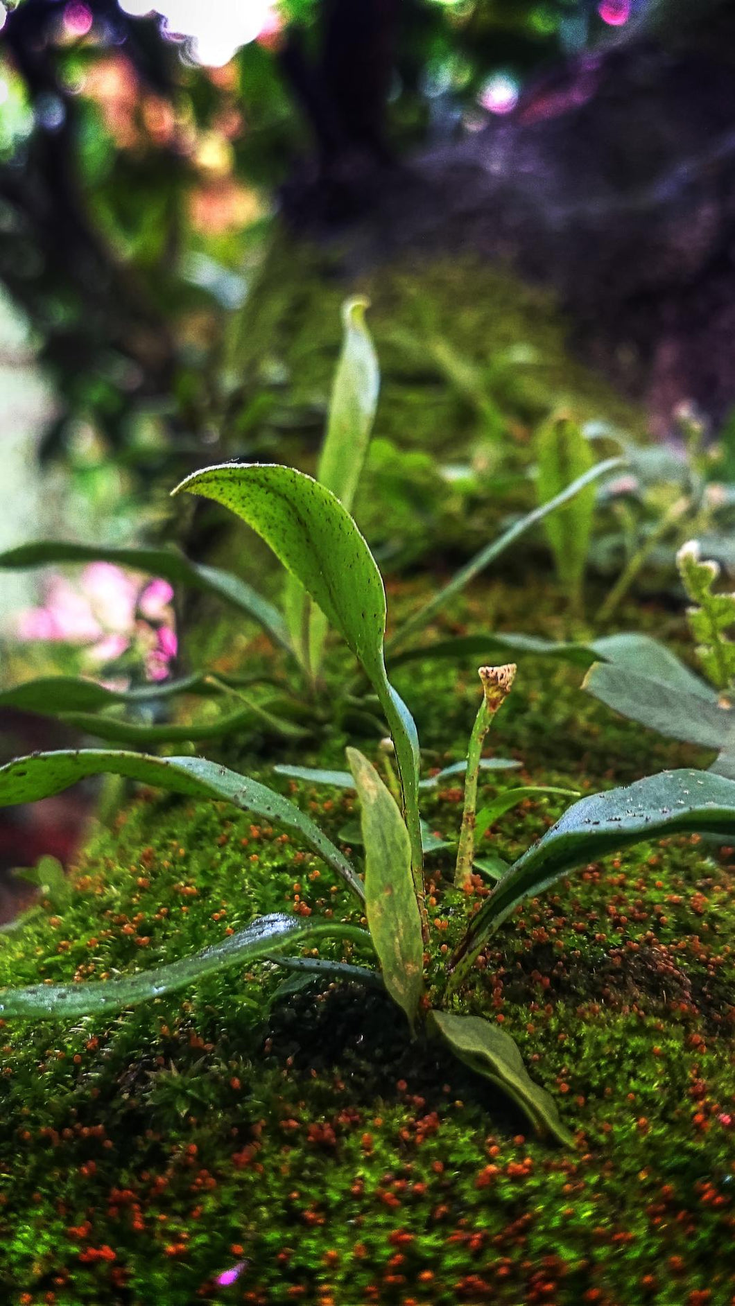 e35ca50ff629a2a5062d28c22e79dc2a0d55307d