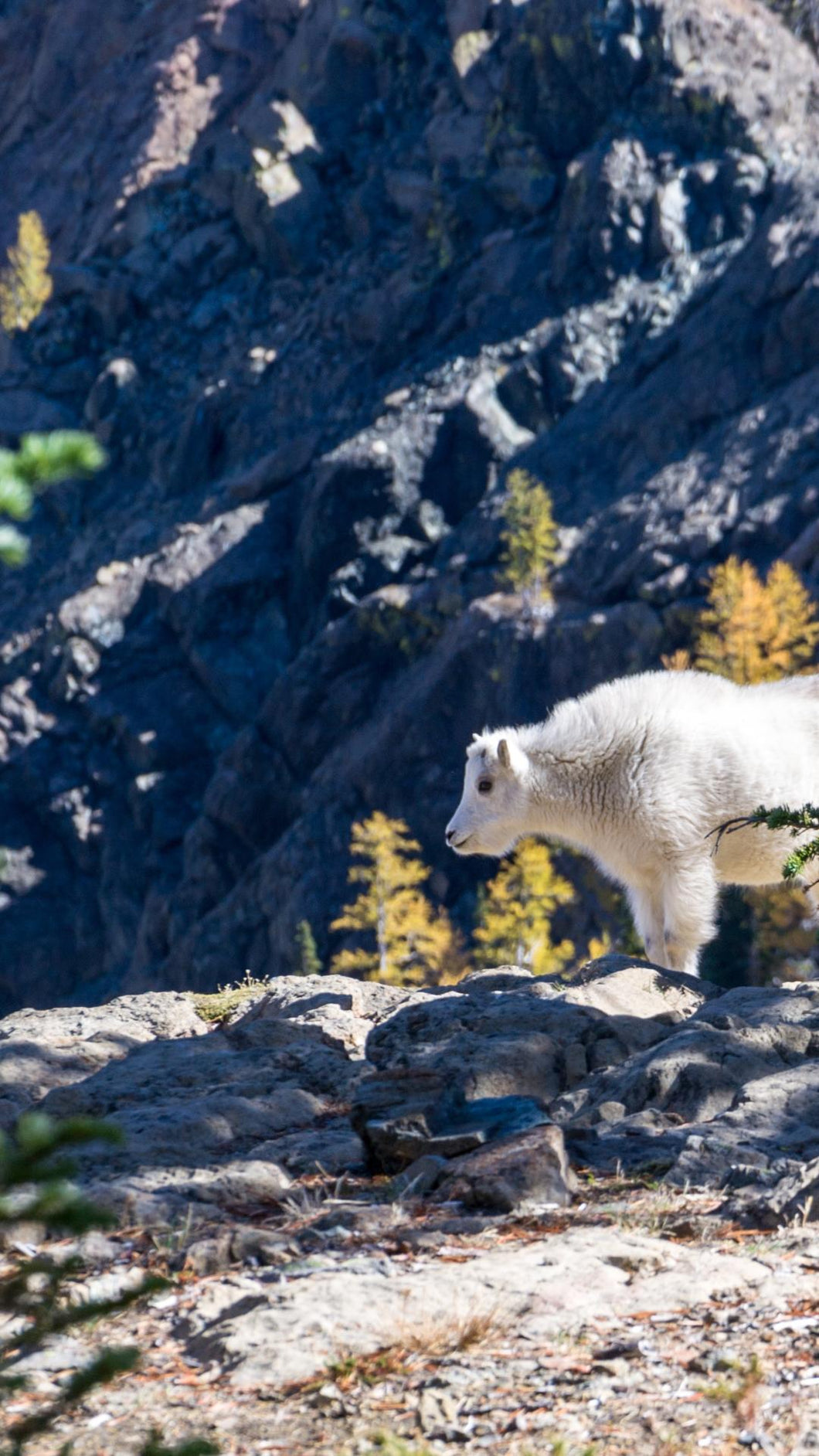 7e66cbcb1f5b206d8f97c1eefff28b4f02fc0443