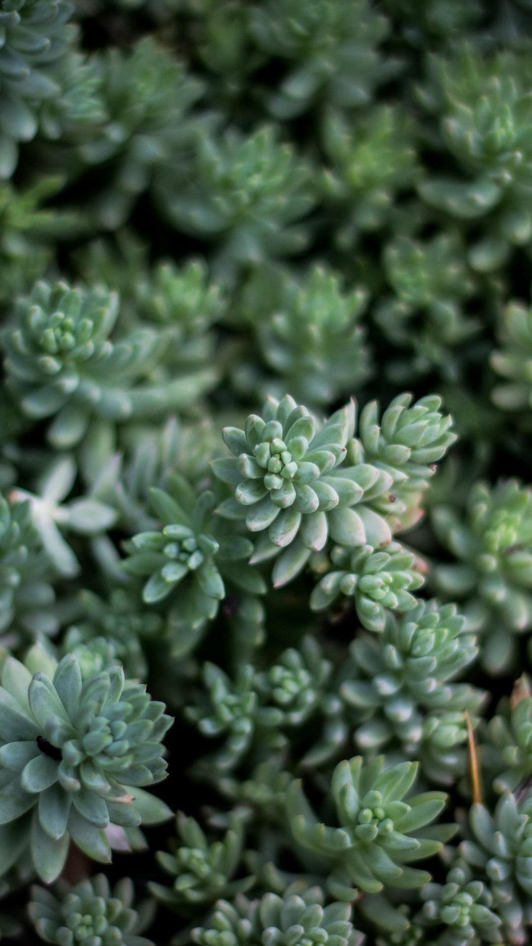 7cdba26f52cf82c629ae19e6ecf6c84e13974573