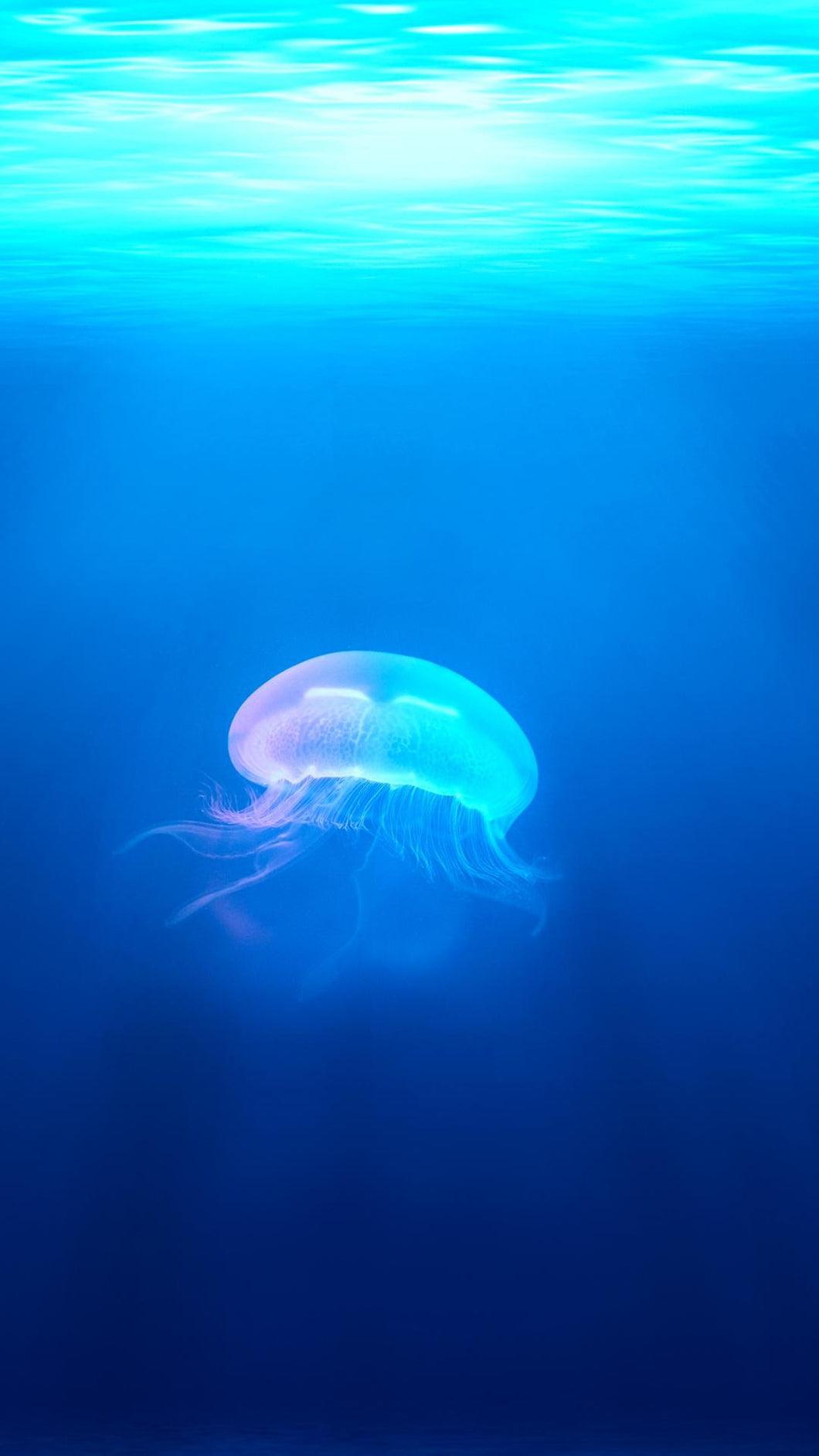 9cb2f3f505e7b1eeb0bf855a93f994d4ba9d9135