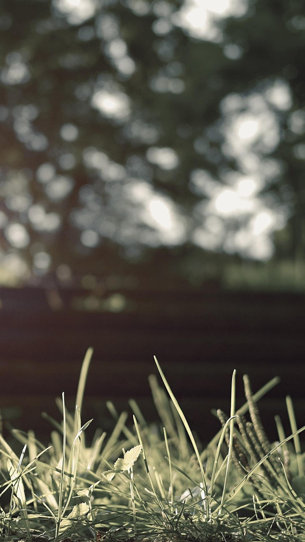 1fad575630f831997956c14defb25a1e805faf06