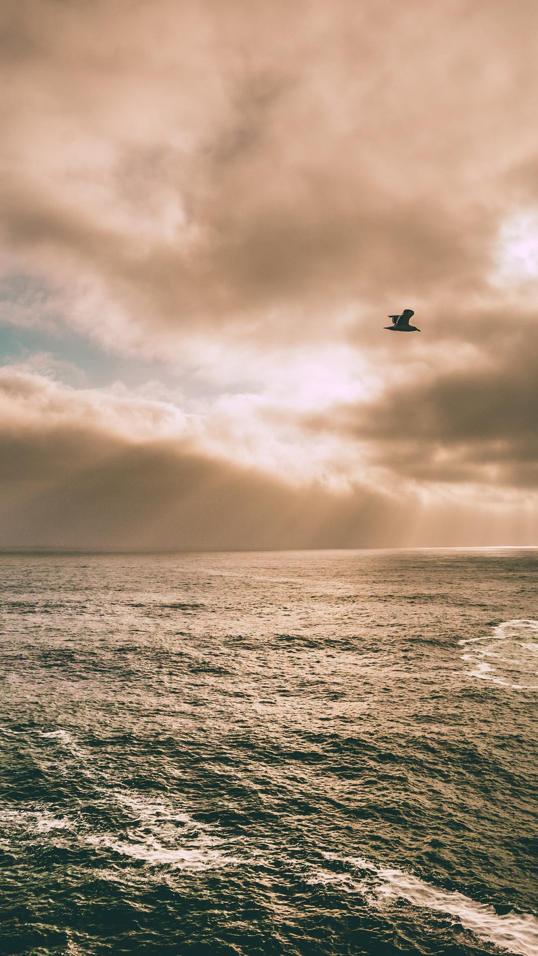 d649d98506a9243edf0ef01be71fa1c3a824e2b7