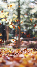 Load image into Gallery viewer, 5a75c38c1ebdee005bd17fe7b68ac3c367b0b6ee
