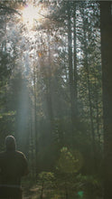 Load image into Gallery viewer, 2f8e68f3400f98d04bcea9a01c0c90060a5243ba
