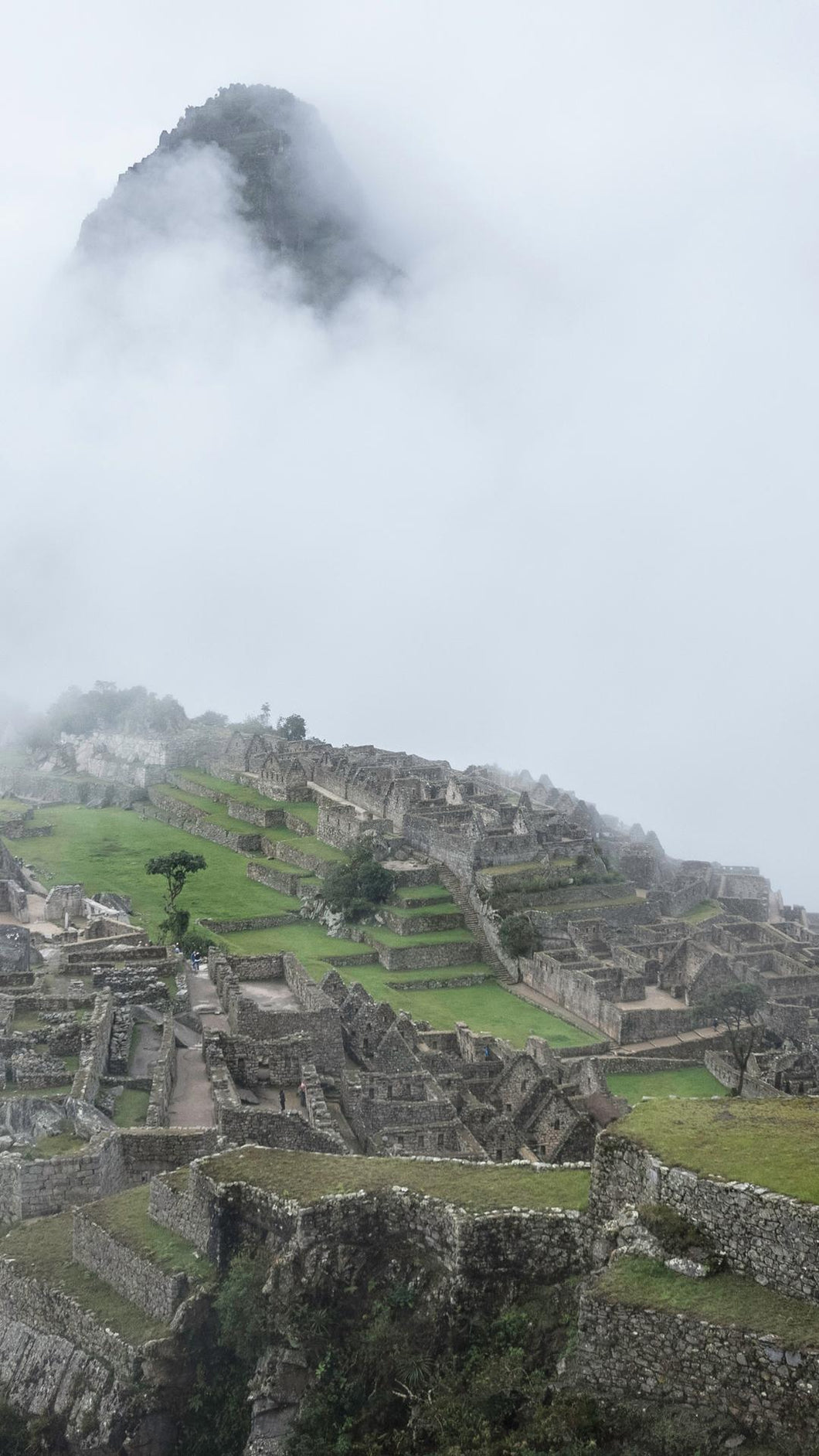 5b614176489e992ce380732f719f9f6e797c0a57