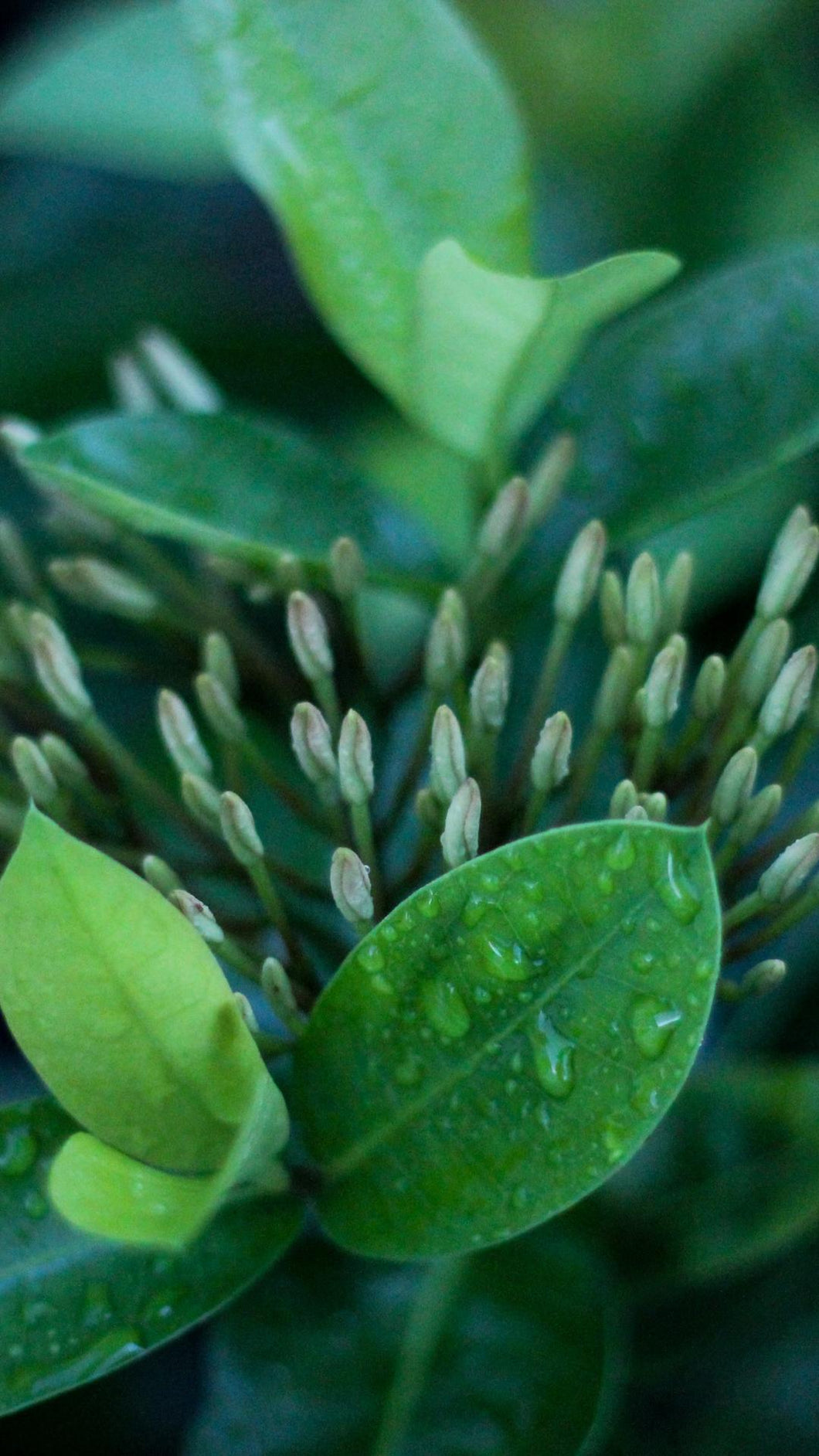 269d8bd5e1df5b1c7e68204490004691712c24c9