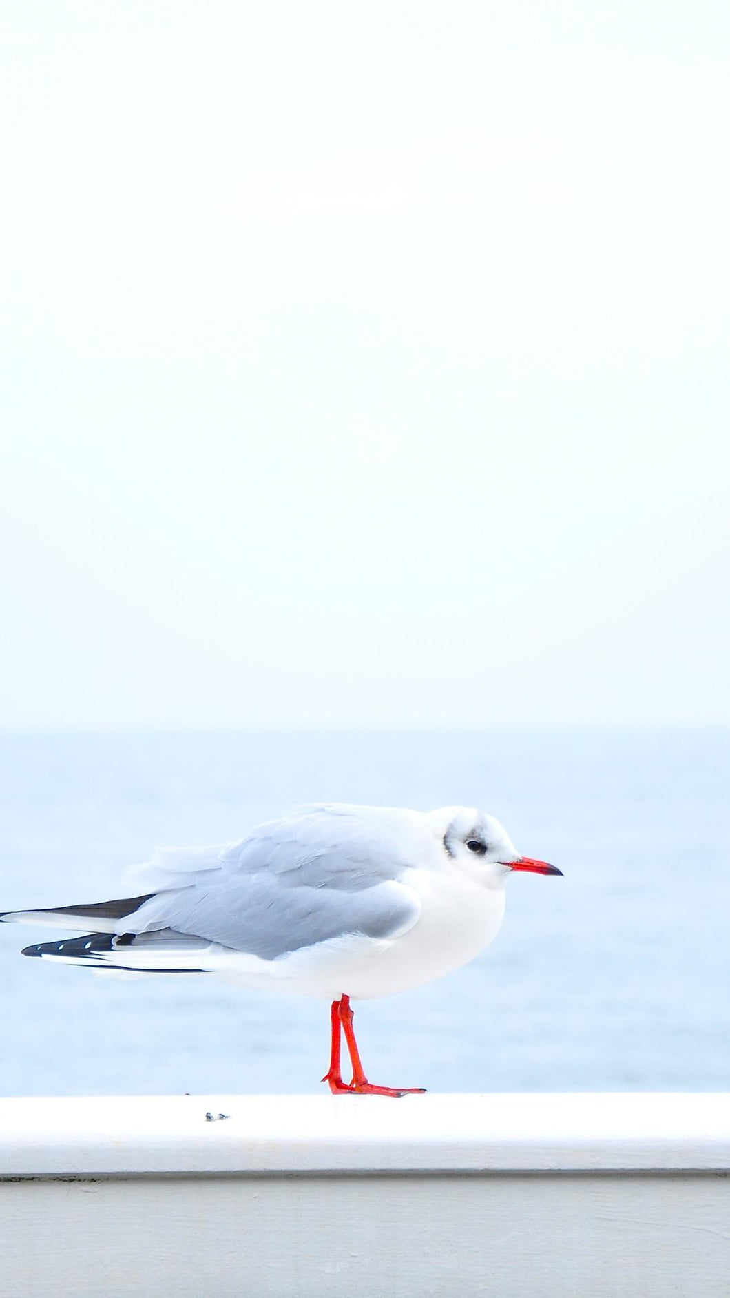 37eb1e98eacf254738f5e8427d7decd7077a9938