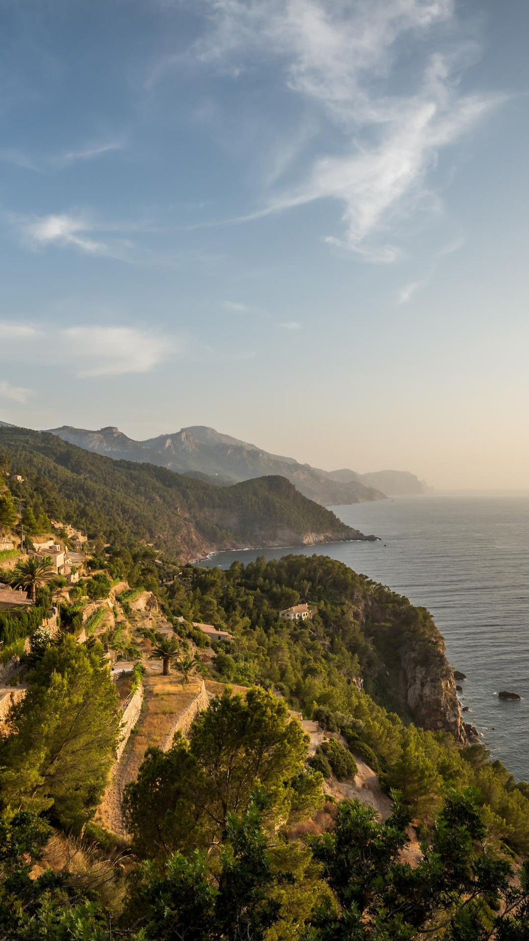 481a51dd16bd3946f055d542f782ef928648ff8c