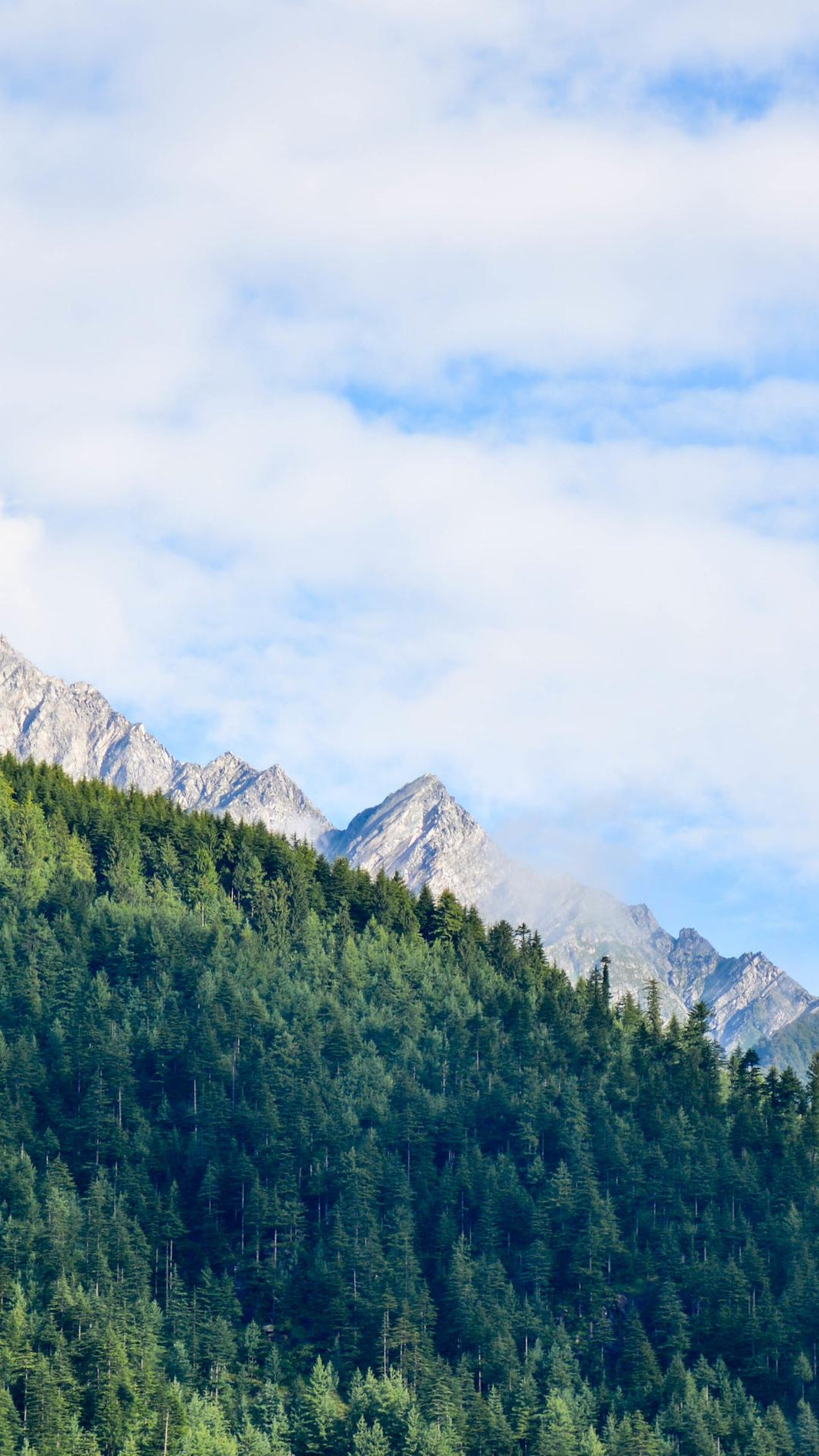 3d65d34bbe2889ceef6b6737cca146420e588d6c