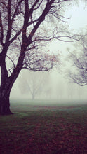 Load image into Gallery viewer, 0d60bb97791b8ffb30e1dd6011ceb38e76c70d69
