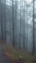 Load image into Gallery viewer, b6e304999e383d63e120f6196cdffdc5f90d1afc
